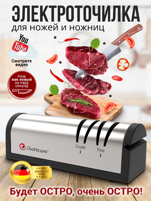 Electric knife sharpener